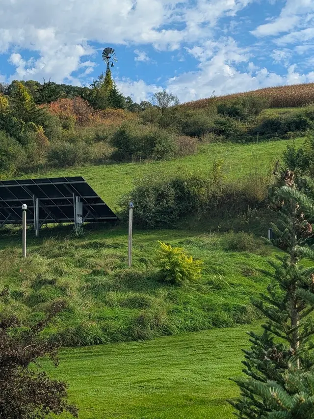 Customer photo of work by Horstmann Homestead Farm, from Joe Bina's review