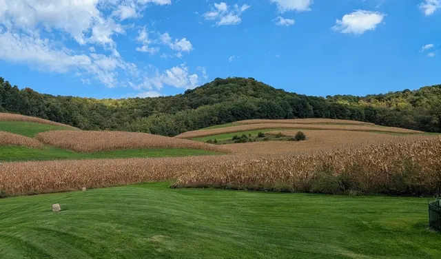 Horstmann Homestead Farm — customer photo 5