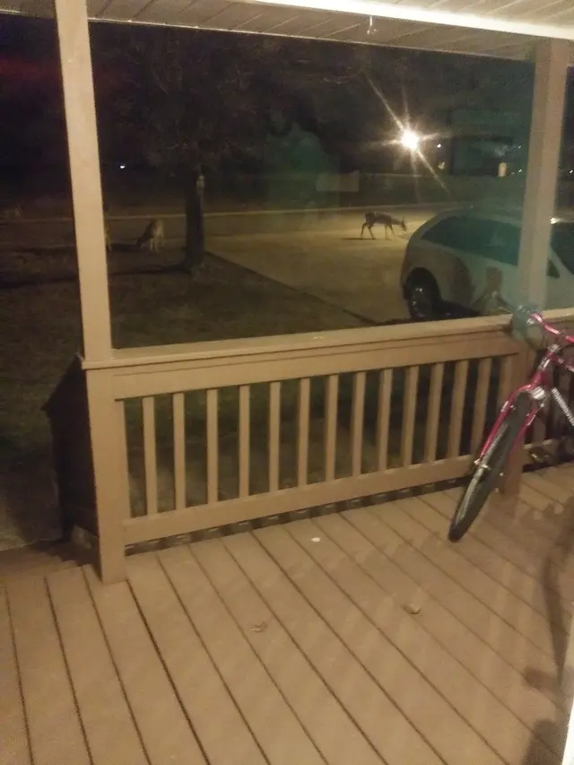 Harbor Freight — customer photo 12