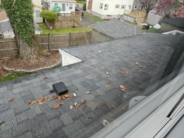 Colt Home Services — customer photo 11