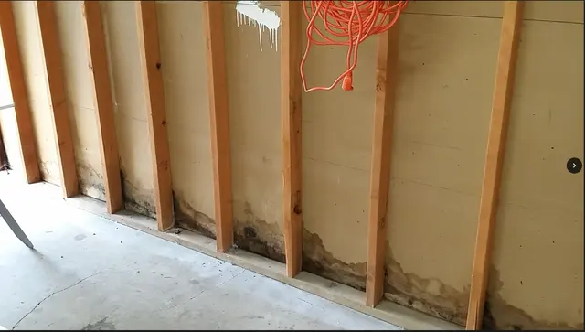 Water Mold Fire Restoration of Boston — photo from the business 11