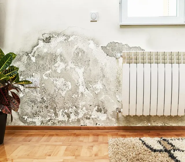 Water Mold Fire Restoration of Boston — photo from the business 3