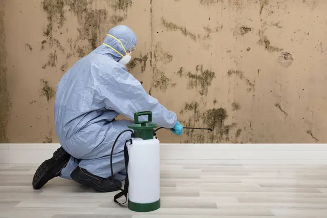 Water Mold Fire Restoration of Boston — photo from the business 1