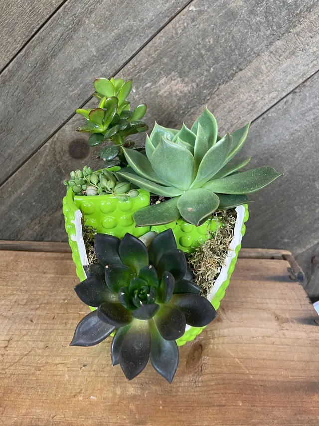 Merrimack Flower Shop & Greenhouse — photo from the business 11