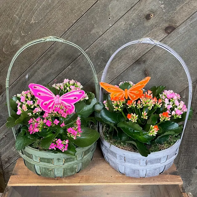 Merrimack Flower Shop & Greenhouse — photo from the business 10