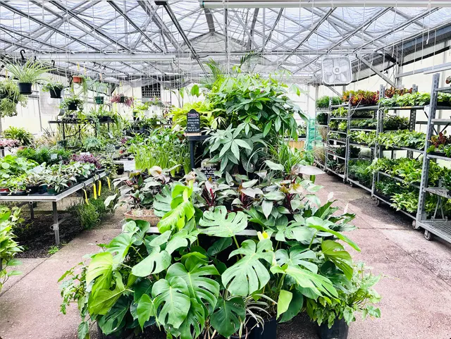 Merrimack Flower Shop & Greenhouse — photo from the business 4