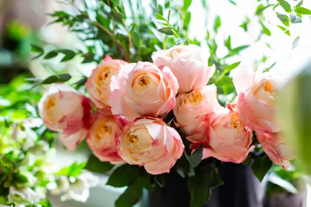 Nashua Flower Shop — photo from the business 2