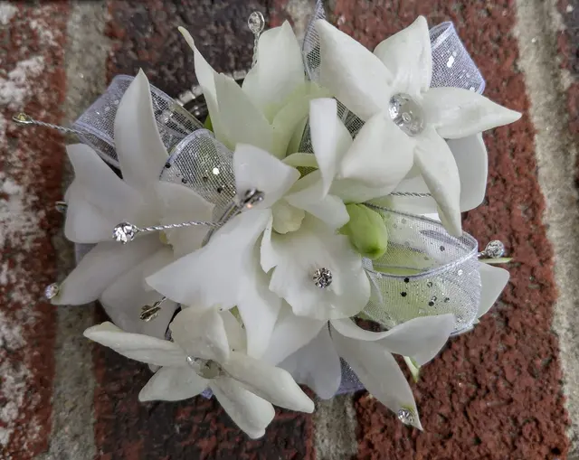 Harrington Flowers — photo from the business 5