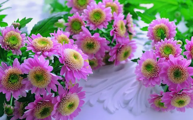 Flowers On the Hill — photo from the business 2