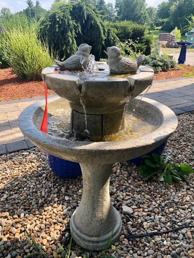 Springlook Farm Garden Center, Nursery, Florist — photo from the business 7