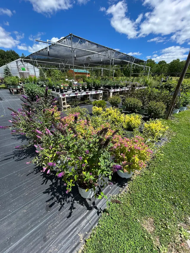 Springlook Farm Garden Center, Nursery, Florist — photo from the business 3