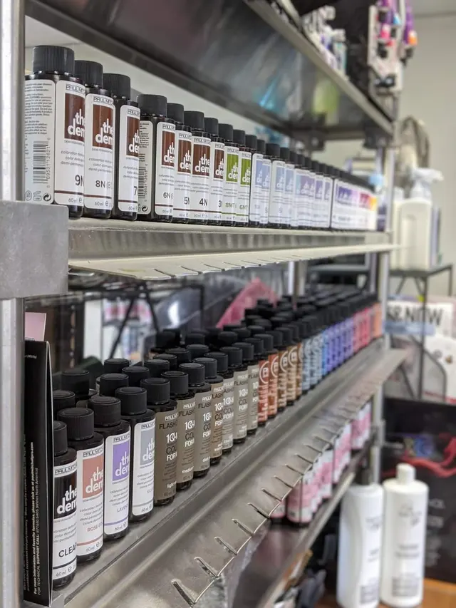 Sassy Mane Salon — photo from the business 8