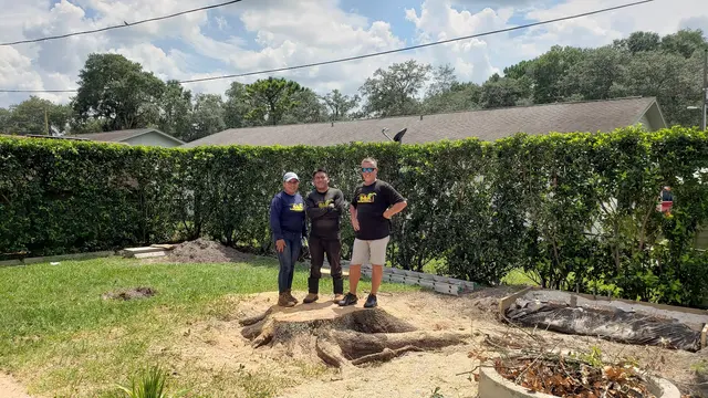 S&K Tree Services — customer photo 7