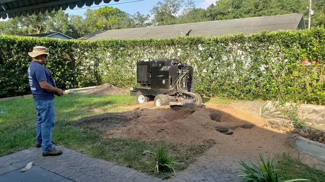 S&K Tree Services — customer photo 3