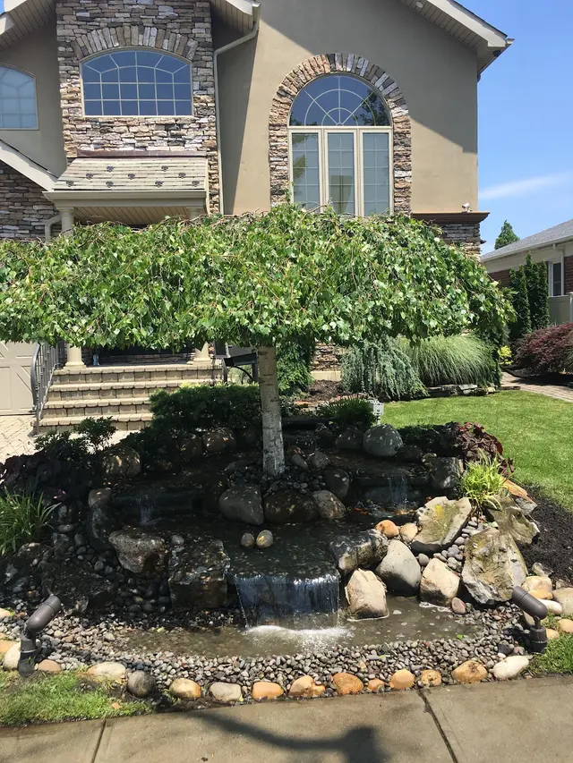 S&K Tree Services — photo from the business 4