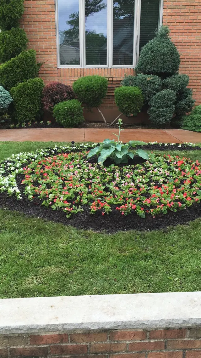 S&K Tree Services — photo from the business 1