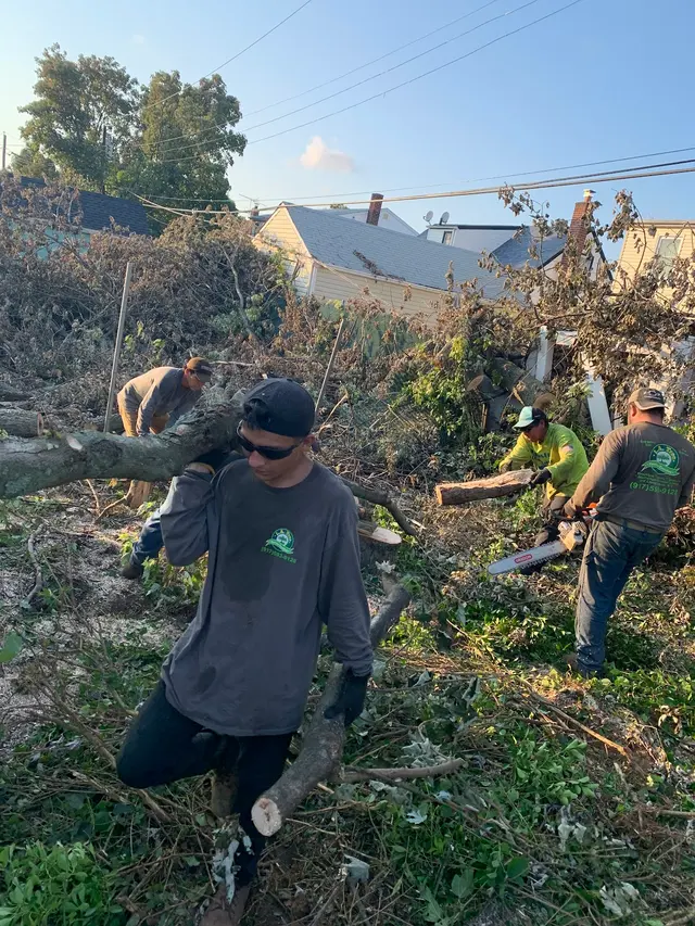 L. A. Tree Service Creative Corp — photo from the business 10