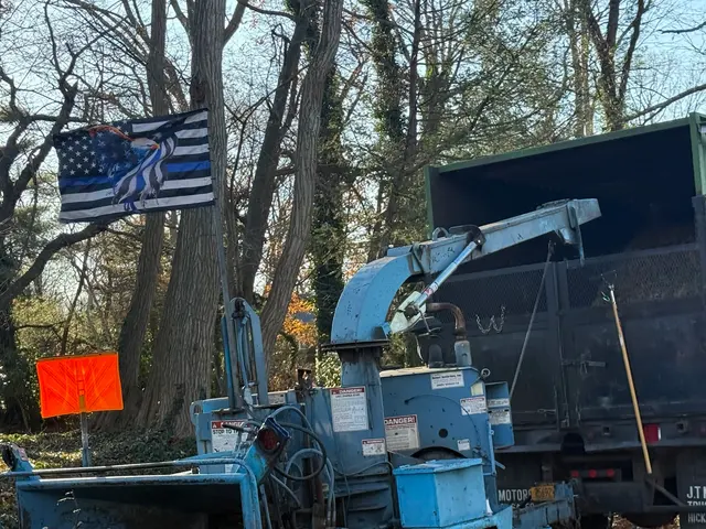 Troy's Tree Service inc. — photo from the business 8