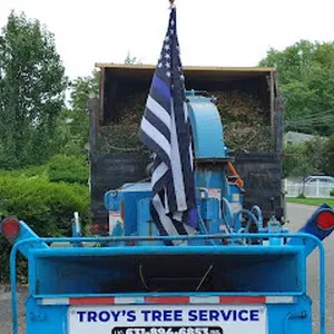 Troy's Tree Service inc. — photo from the business 9