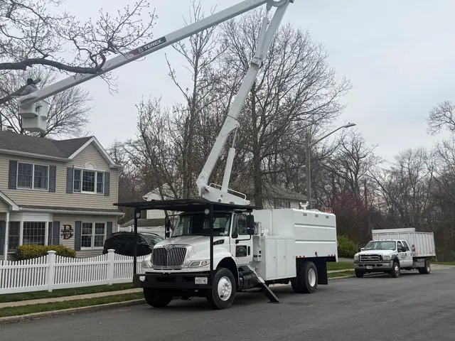 Troy's Tree Service inc. — photo from the business 3