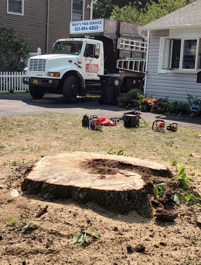 Troy's Tree Service inc. — photo from the business 7