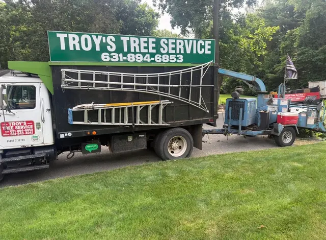 Troy's Tree Service inc. — photo from the business 4