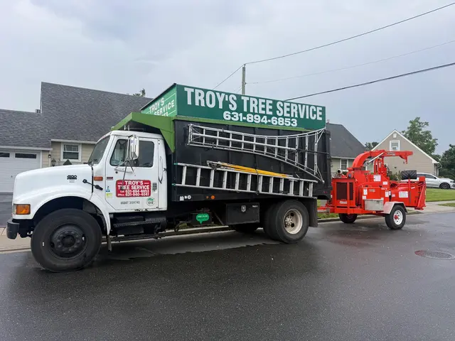 Troy's Tree Service inc. — photo from the business 2