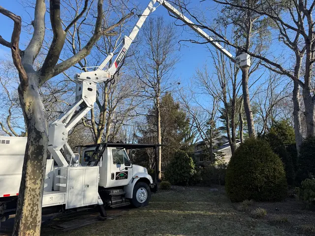 Troy's Tree Service inc. — photo from the business 1