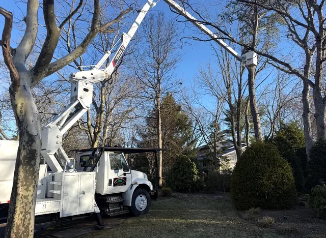 Customer photo of work by Troy's Tree Service inc., from Eric Greenberg's review