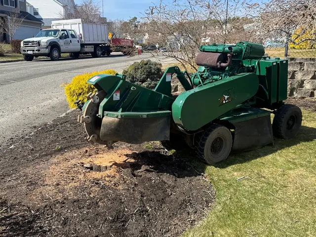 Troy's Tree Service inc. — photo from the business 10