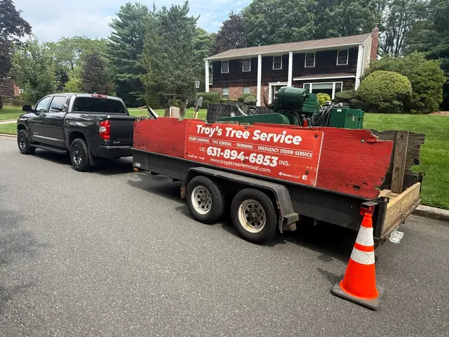 Troy's Tree Service inc. — photo from the business 5