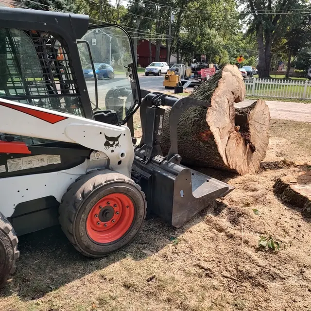 Troy's Tree Service inc. — photo from the business 6