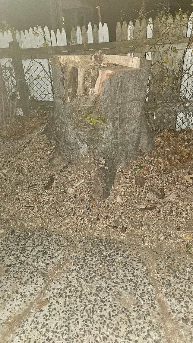 Customer photo of work by JRs Tree Service, from Afmidnight's review