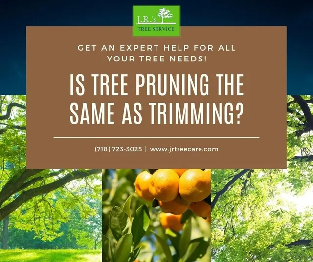 JRs Tree Service — photo from the business 8