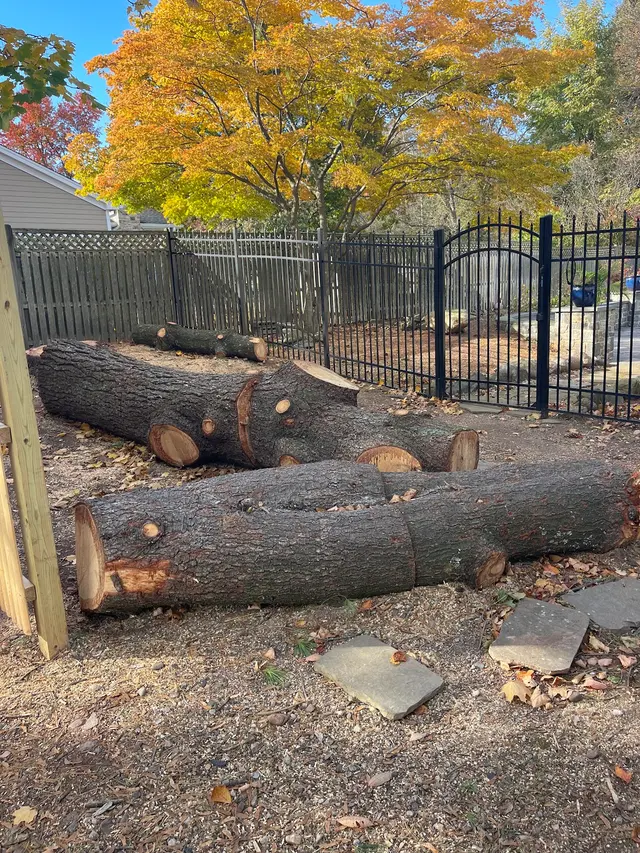 JRs Tree Service — customer photo 10