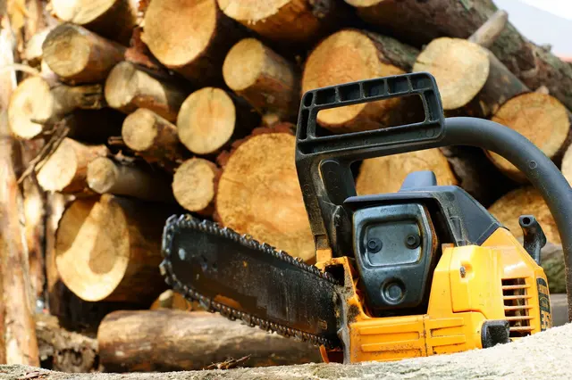 JRs Tree Service — photo from the business 3