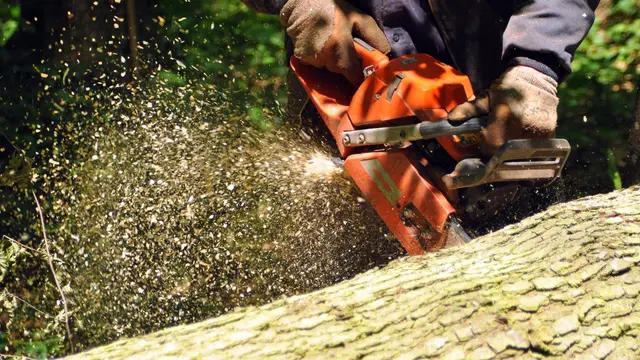 JRs Tree Service — photo from the business 1