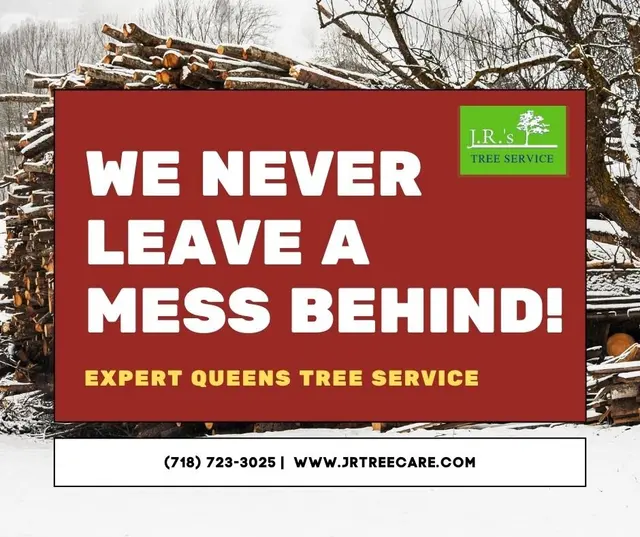 JRs Tree Service — photo from the business 9