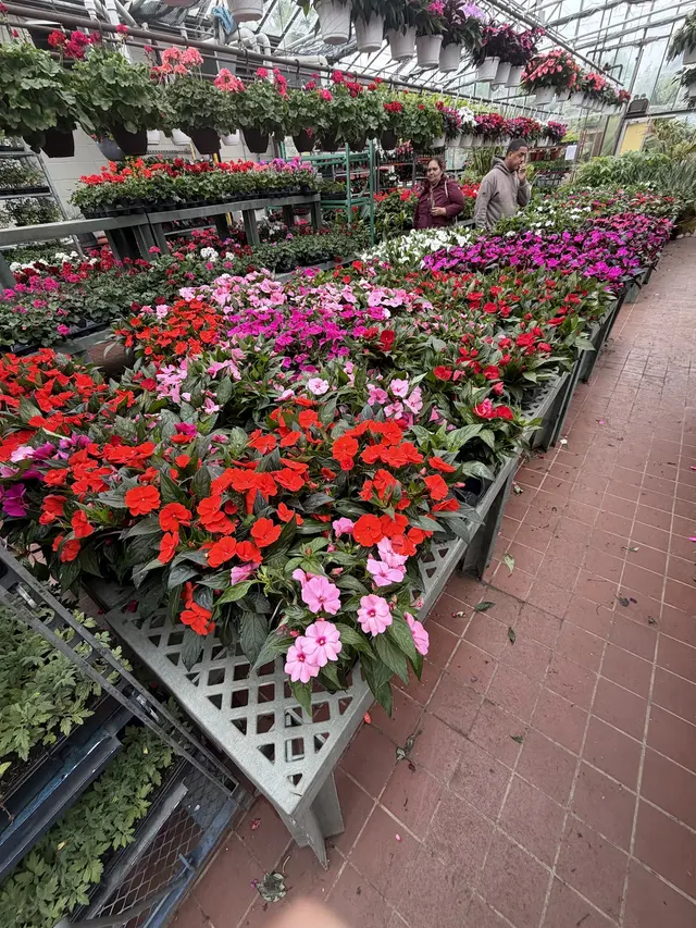 Greatness Landscaping & Construction — photo from the business 3