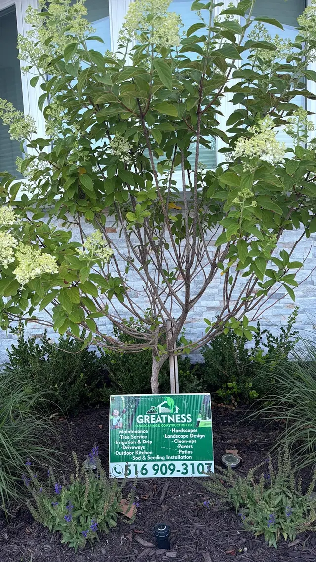 Customer photo of work by Greatness Landscaping & Construction, from Larissa Peñalo's review