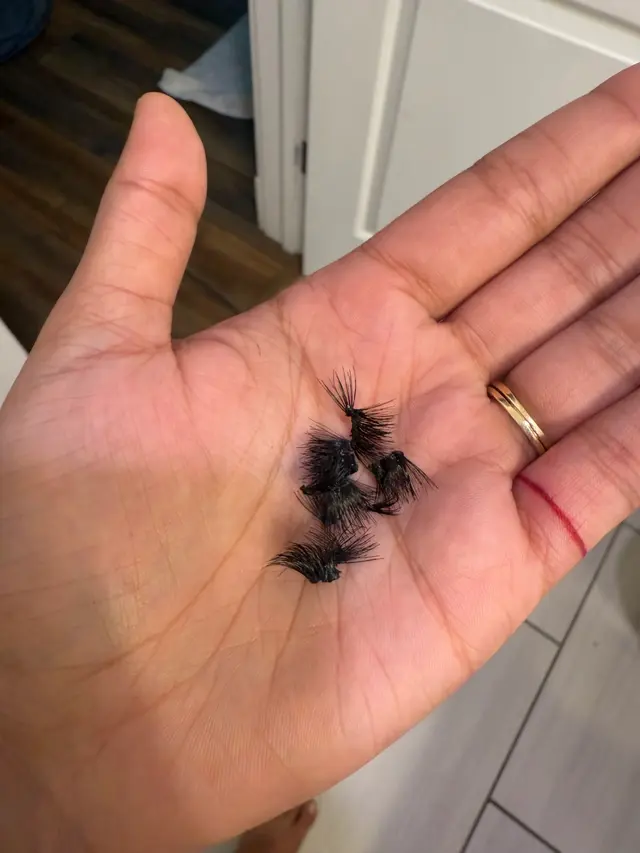 Bombay Salon & Spa - Memphis — customer photo 7