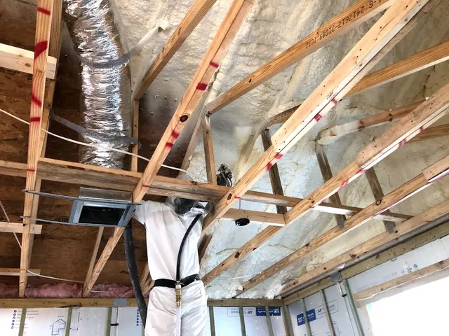 Koala Insulation of The East Valley — photo from the business 8