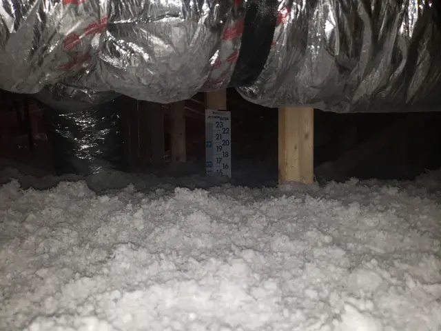 Izzy's Insulation, LLC. — photo from the business 11