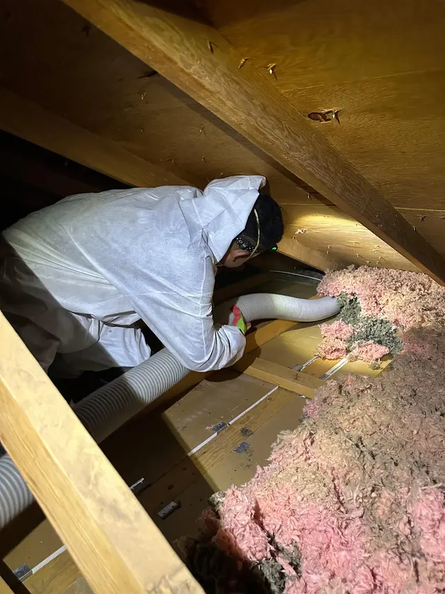 Attic R Us — photo from the business 10