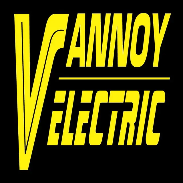 Vannoy Electric — photo from the business 6