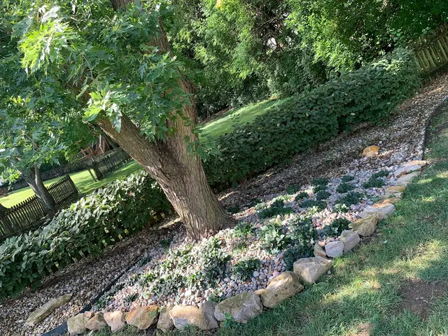 Deluxe Lawn & Landscape — photo from the business 12