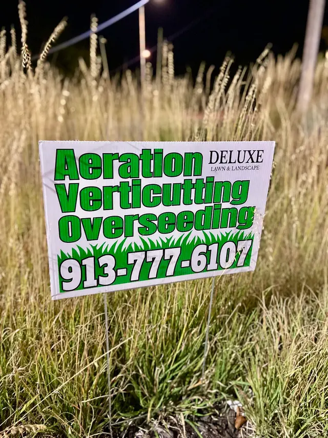 Deluxe Lawn & Landscape — photo from the business 1