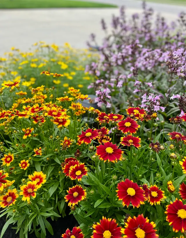Deluxe Lawn & Landscape — photo from the business 10