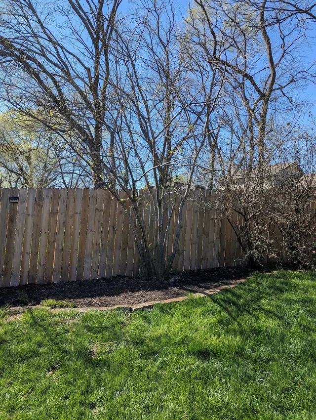 Deluxe Lawn & Landscape — customer photo 9