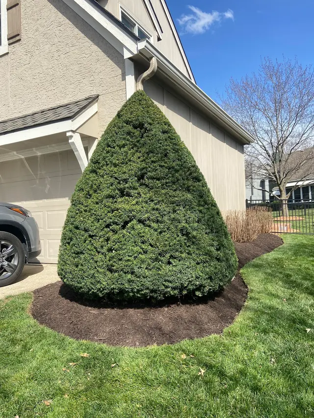 Deluxe Lawn & Landscape — photo from the business 7